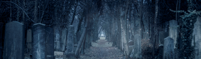 File:Retired Characters.png