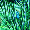 Thumbnail for version as of 17:29, 11 May 2016